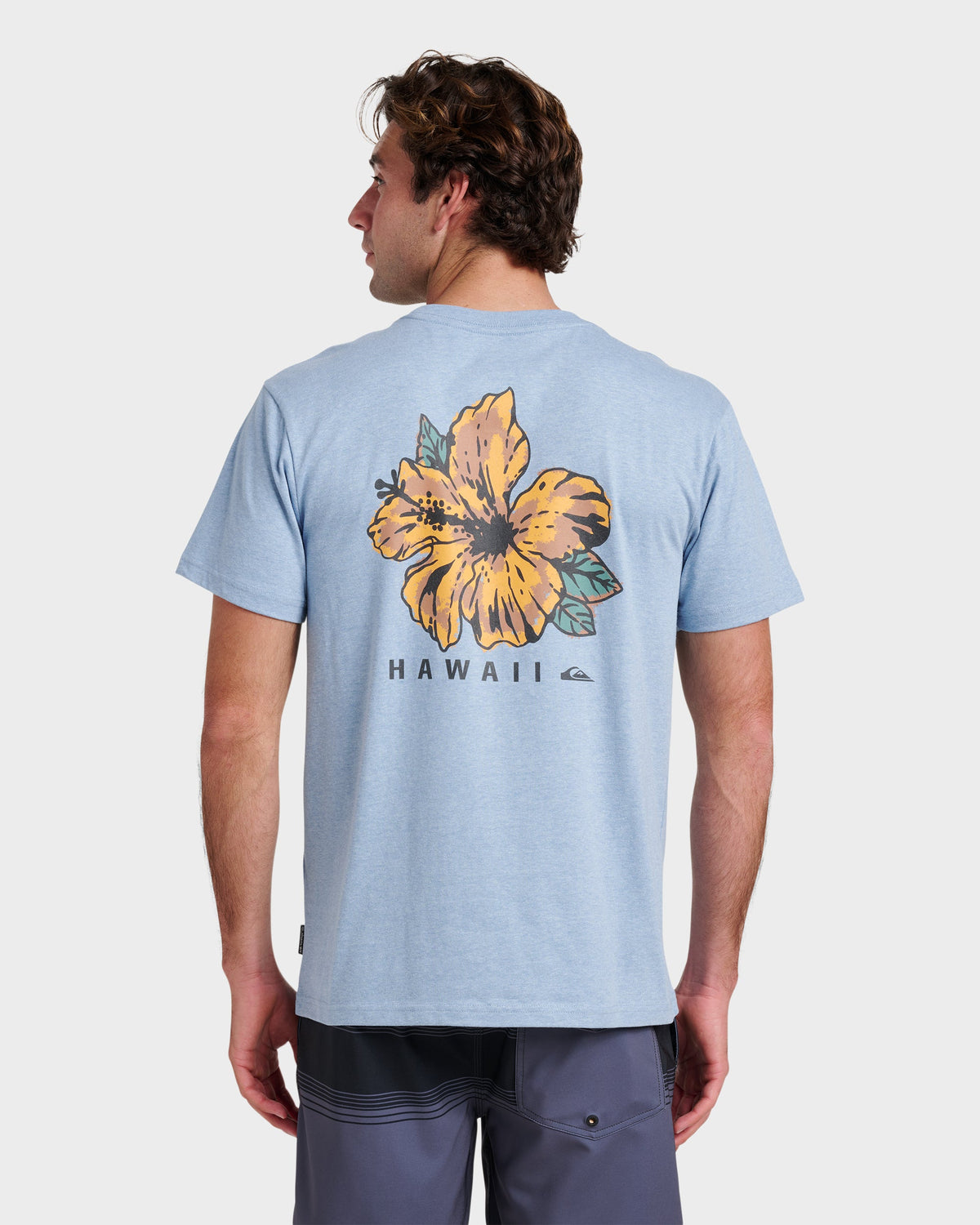 Quick Silver Hi Garden Classic T-shirt - Ashley Blue Heather