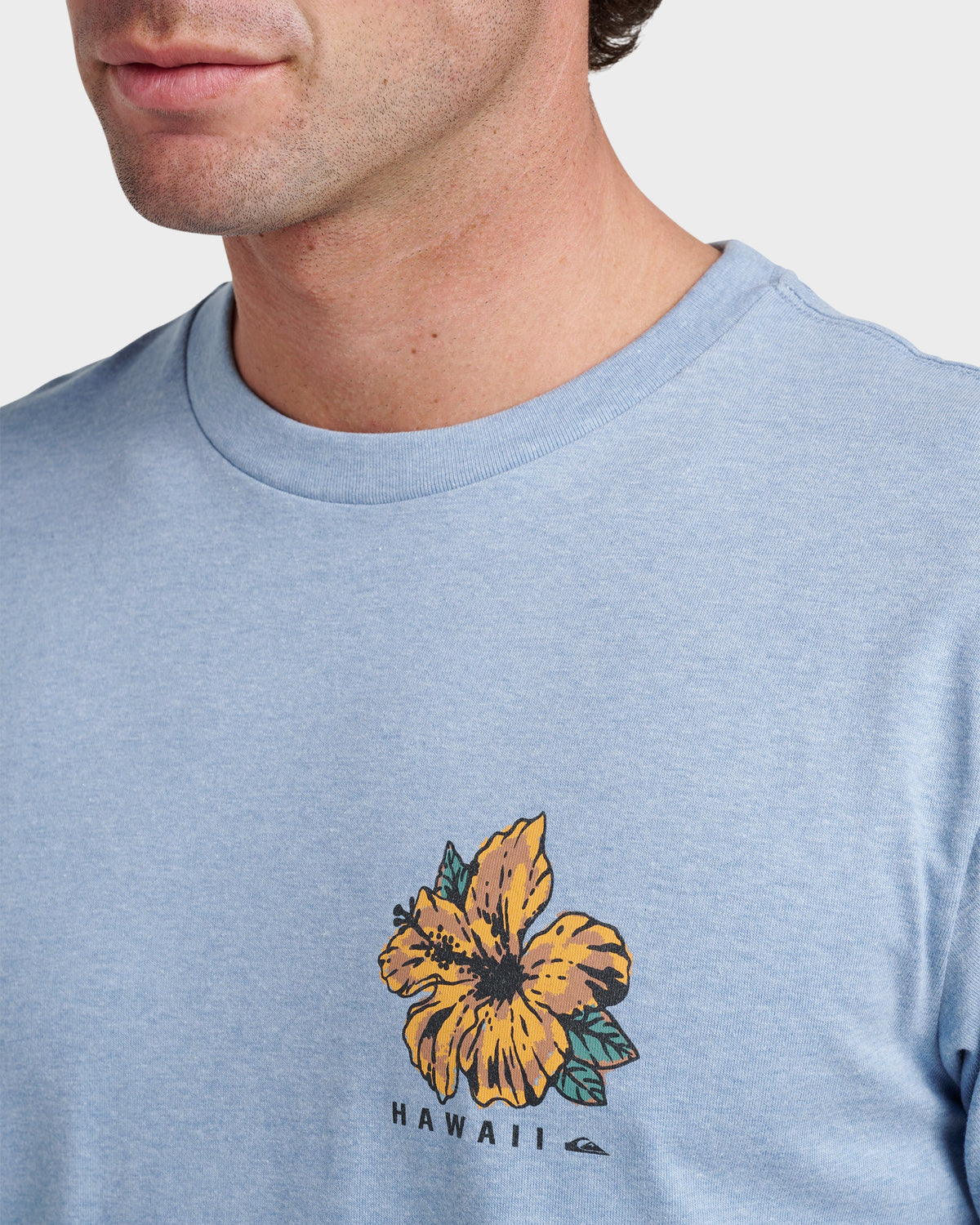 Quick Silver Hi Garden Classic T-shirt - Ashley Blue Heather