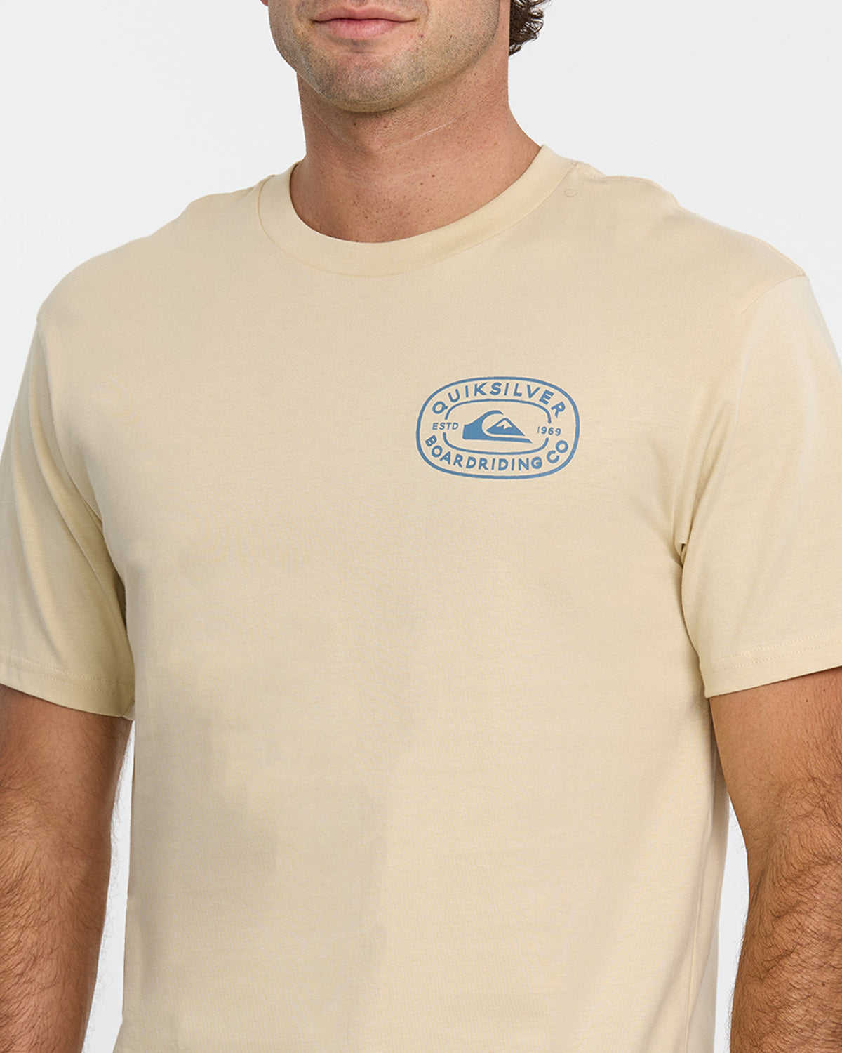Quick Silver Western Lock T-Shirt - Fog