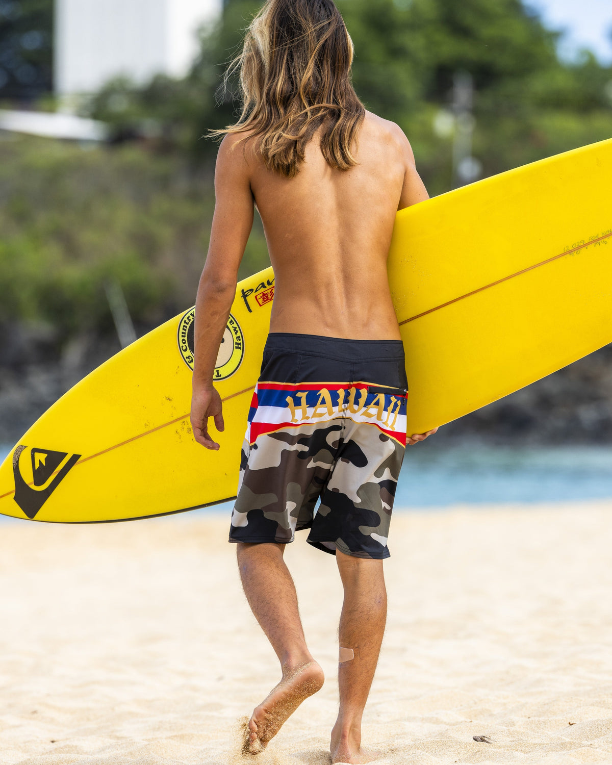 Quick Silver Hi Panel 20" Boardshorts - Grape Leaf